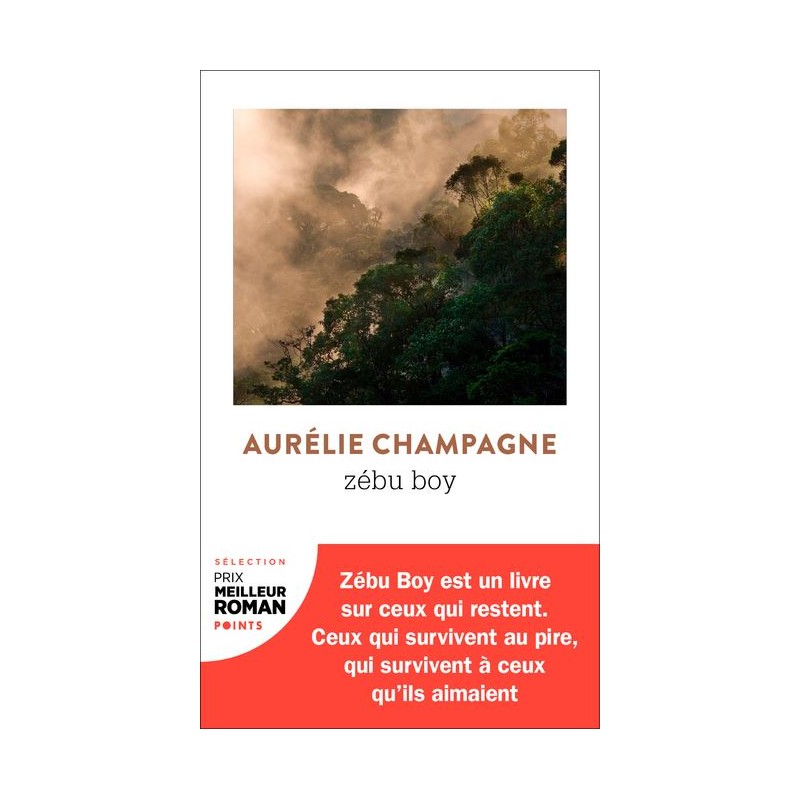 LIVRE Zébu Boy - Aurélie Champagne