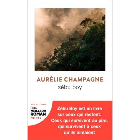 LIVRO Zébu Boy - Aurélie Champagne - poche